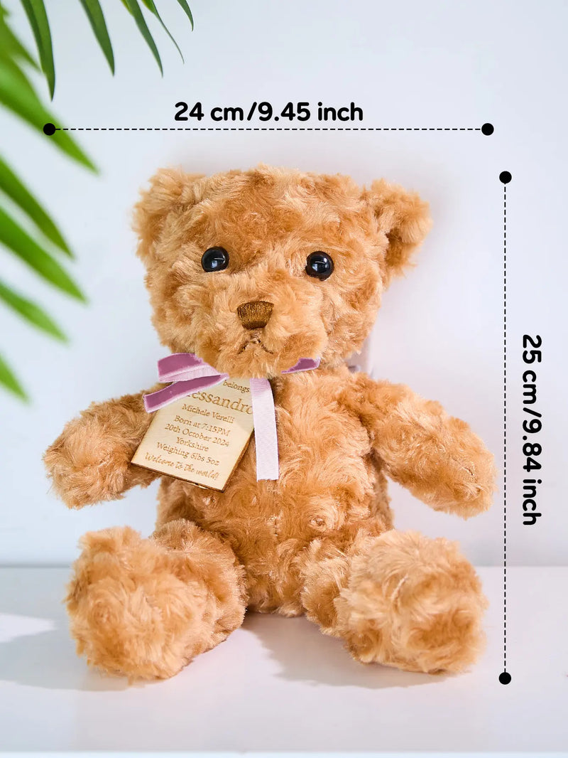 Personalized Bear Plush Birth Stats Stuffed Animal Birth Announcement Gifts