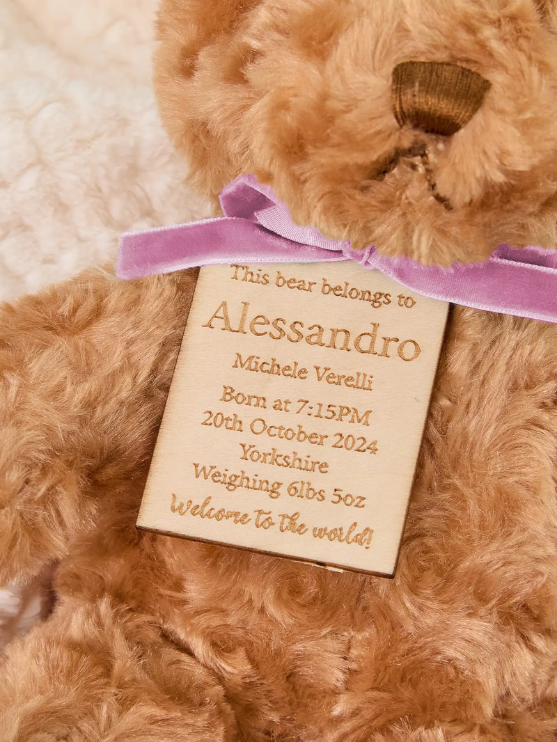 Personalized Bear Plush Birth Stats Stuffed Animal Birth Announcement Gifts